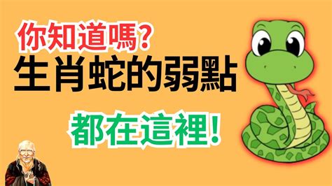 1989生肖蛇|生肖蛇: 性格，愛情，2024運勢，生肖1989，2001，2013